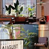 厦门首家森林系烤肉店｜绝了‼️人均60吃正宗东北烤肉