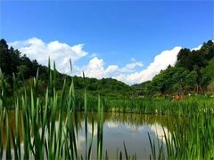 -终南山国家森林公园