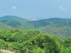 -南京老山国家森林公园