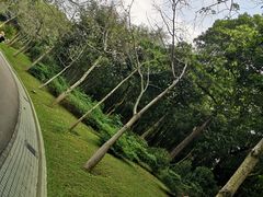 -云溪植物园