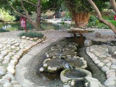 -成都市活水公园
