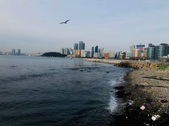 -海云台海滩