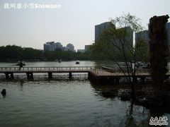 -紫竹院公园冰场