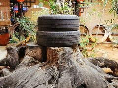 -园林美食城·本土农家菜(杨和镇店)