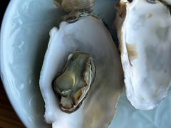 -连锦记海鲜烧烤大排档·锦州特色(西安路交大店)