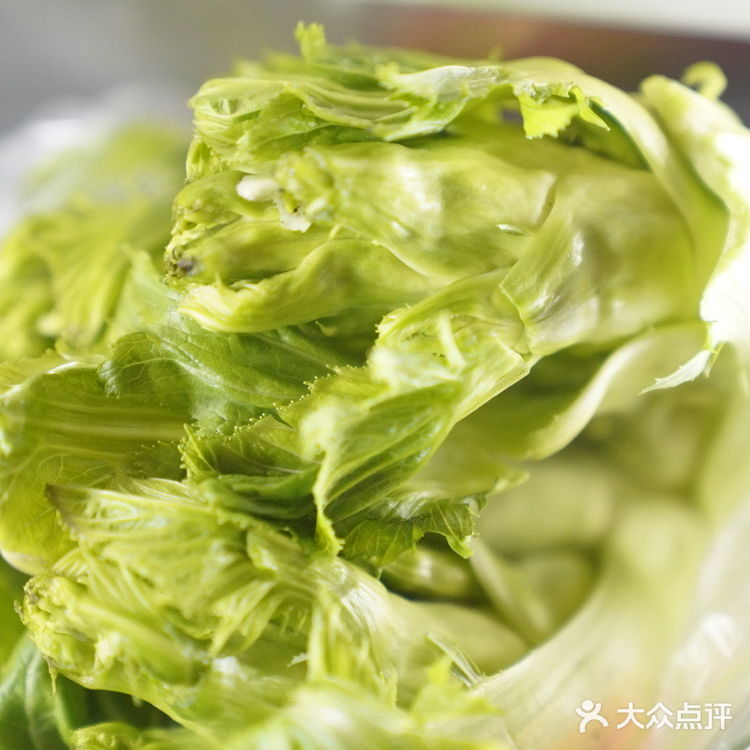 煮儿菜