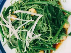 清香南瓜尖-新疆巴州金丝特餐厅(大钟寺店)