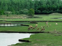 -溱湖国家湿地公园