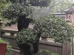 -南华禅寺