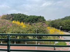 -广东中医药博物馆