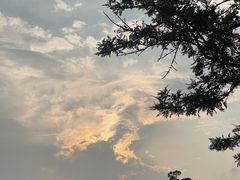 -韵秋荷(宝山龙湖天街店)