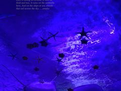 -青岛海底世界-水族馆