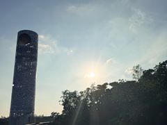 -东寨港红树林旅游区