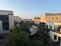 -上海崇明金茂凯悦酒店