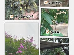 -兄弟烧鸡(天河店)