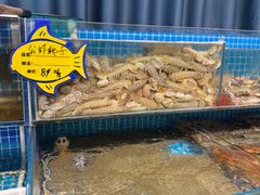-韩记海鲜饺子旗舰店(红海新区店)