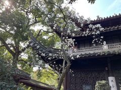 -天一阁博物院