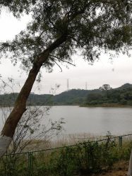 -佛灵湖水上乐园