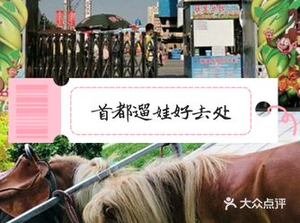 首都遛娃→万达广场亲子动物乐园