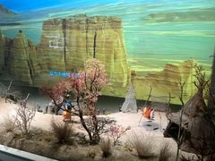 -中国湿地博物馆