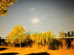 -汉江湾体育公园