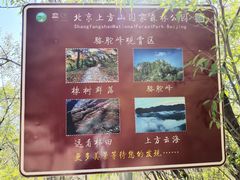 -北京上方山国家森林公园