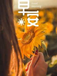 -Oasis Beauty水磨坊科技美肤中心