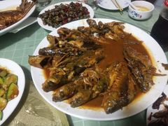 -金台阶鱼馆(于桥水库店)