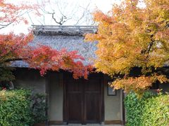 -常寂光寺