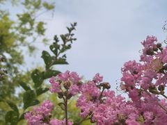 -绿堤公园