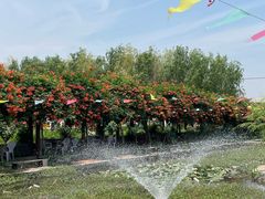 -同銮特种养殖场·龙虾垂钓