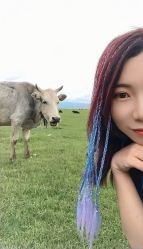 -纳帕海依拉草原