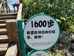 -大岭沟猕猴桃谷风景区