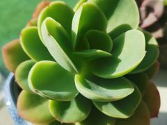 -弄堂里·寻味杭州(湖滨银泰in77C区店)