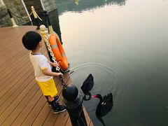 -深圳东部华侨城茵特拉根酒店