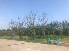 -前小桔亲子创意农场·草莓采摘·露营烧烤