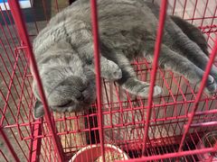 -第三空间·趣味桌游·轰趴.室内CS.剧本杀(大武汉1911店)