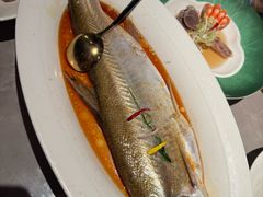 -醉庐·新上海菜(南京西路店)