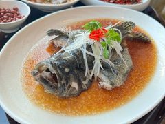 -大连君悦酒店·星海湾壹号Dalian·Dalian(星海广场店)