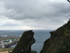 俯视-济州岛泰迪熊博物馆