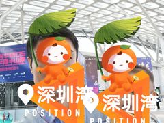 -华润深圳湾体育中心-“春茧” 体育馆