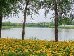 -东郊湿地公园