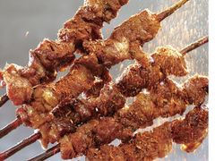 红柳枝烤肉-顺平人家