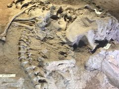 -世界恐龙谷景区