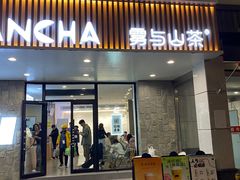 -雾与山茶(大禹城店)