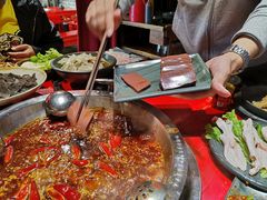 -谭鸭血老火锅(漳州路店)