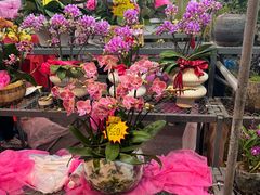 -越秀西湖花市(广州城市广场花卉店)