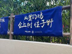 -洞庭土菜馆(天河北总店)