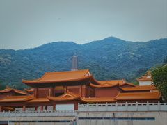 -深圳仙湖植物园