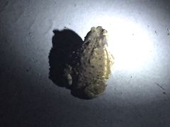 -江天生态园餐厅